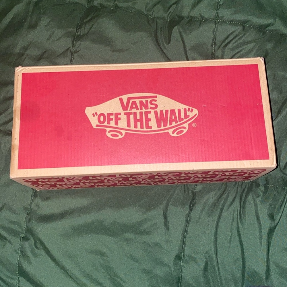 Vans Low Top Sneakers GENTLY WORN❤️ needs shoe laces
